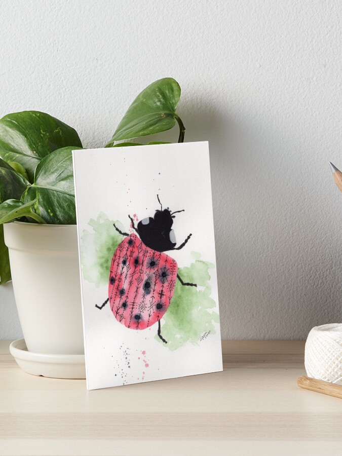 Ladybug Spirit Animal Ladybug Spirit Animal