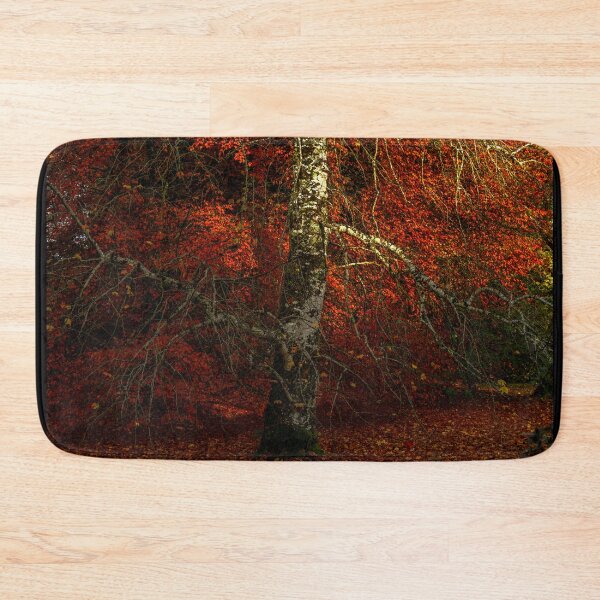 Item preview, Birch tree in an Irish autumn forest designed and sold by AlbertMi.