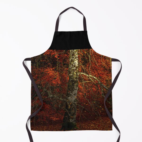 Item preview, Birch tree in an Irish autumn forest designed and sold by AlbertMi.