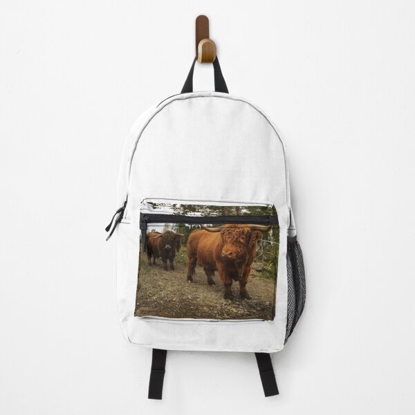 Item preview, Scottish Highland Cattle Bulls 2523 designed and sold by SaarelaHighland.