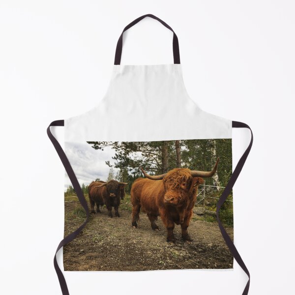 Item preview, Scottish Highland Cattle Bulls 2523 designed and sold by SaarelaHighland.