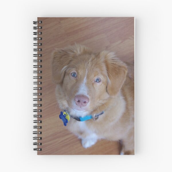 Item preview, Toller Stare designed and sold by Joseph Carlson.