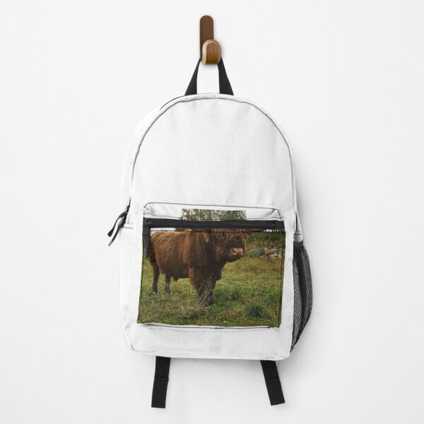 Item preview, Scottish Highland Cattle Bull 2524 designed and sold by SaarelaHighland.