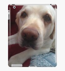 Grady the lab iPad Case/Skin