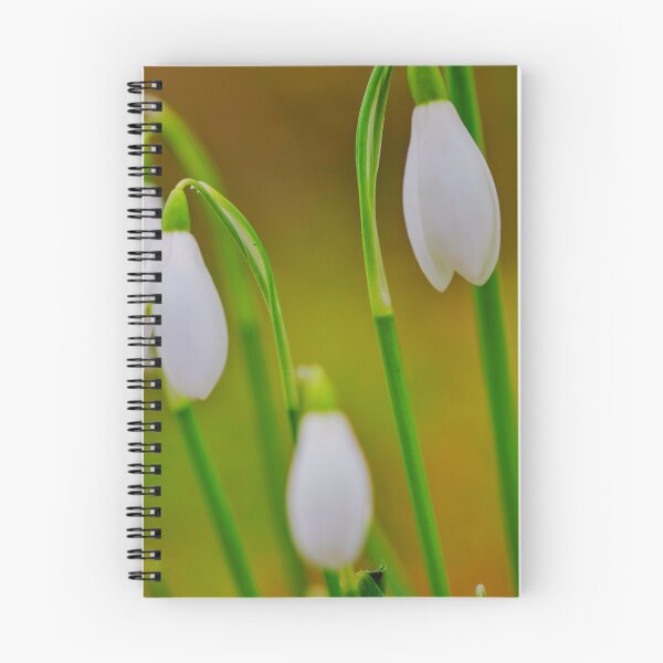 Item preview, Snowdrops in the sun designed and sold by SteveLuff.