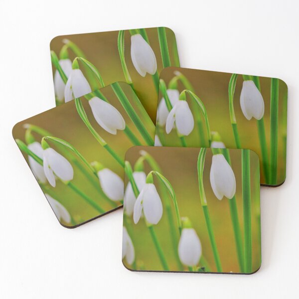 Item preview, Snowdrops in the sun designed and sold by SteveLuff.