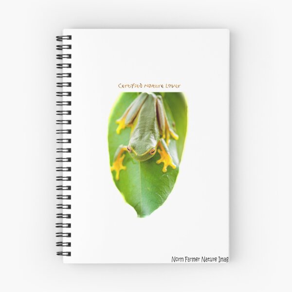 Item preview, The dainty green tree frog T designed and sold by Normf.