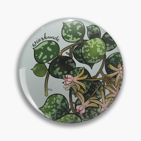 Item preview, Hoya curtisii in bloom designed and sold by Wieskunde.