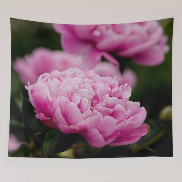 Aperçu de l'œuvre Pivoine rose créée et vendue par Michael Cummings.