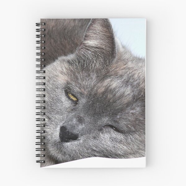 Item preview, Catnap designed and sold by Carla Jensen.
