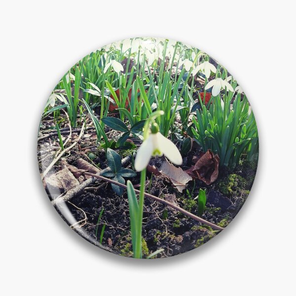 Item preview, Snowdrop Flowers in Dark soil and Brown Leaves designed and sold by Mothe3rd.