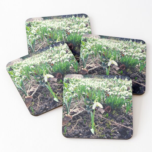Item preview, Snowdrop Flowers in Dark soil and Brown Leaves designed and sold by Mothe3rd.