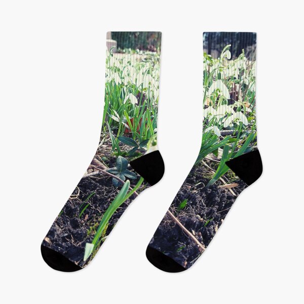 Item preview, Snowdrop Flowers in Dark soil and Brown Leaves designed and sold by Mothe3rd.