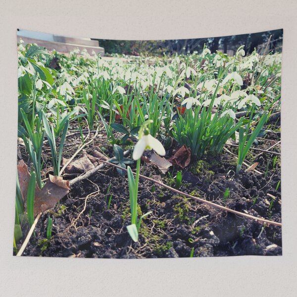 Item preview, Snowdrop Flowers in Dark soil and Brown Leaves designed and sold by Mothe3rd.