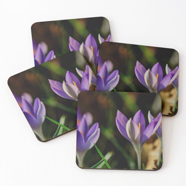 Item preview, Crocus after the snow designed and sold by SteveLuff.