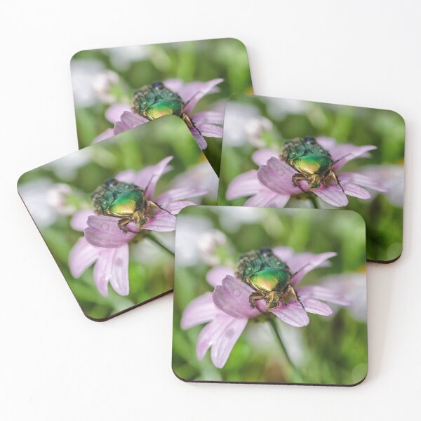 Item preview, The Rose Chafer designed and sold by Kasia Design.