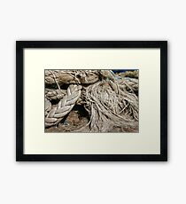Trip to Wollongong Harbour (8) Framed Print