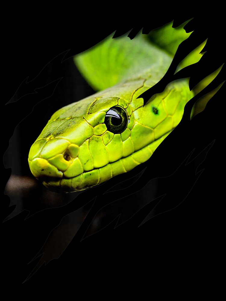 Green best sale snake shirt