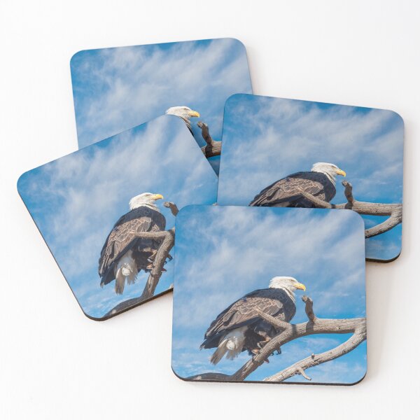 Item preview, Bald Eagle Perched in a Dead Tree designed and sold by Jeff Goulden Photography.