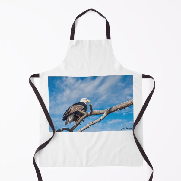 Item preview, Bald Eagle Perched in a Dead Tree designed and sold by Jeff Goulden Photography.