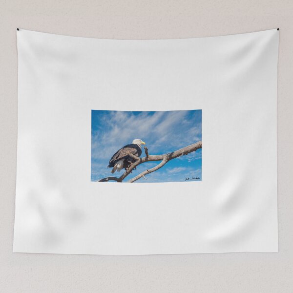 Item preview, Bald Eagle Perched in a Dead Tree designed and sold by Jeff Goulden Photography.
