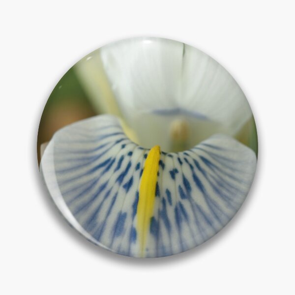 Item preview, Iris  'Polar Ice'  Reticulata  designed and sold by Chris Burrows.