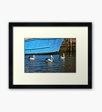 Trip to Wollongong Harbour (11) Framed Print
