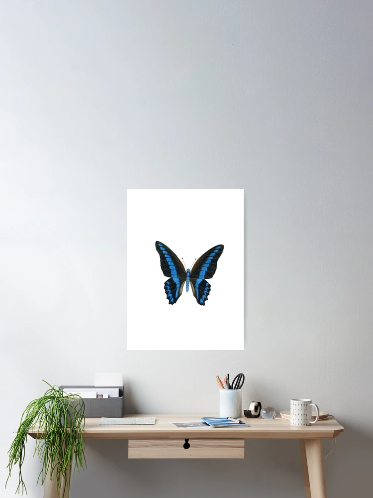 Thumbnail 2 of 3, Poster, Blue Triangle Butterfly  designed and sold by ColorSplendor.