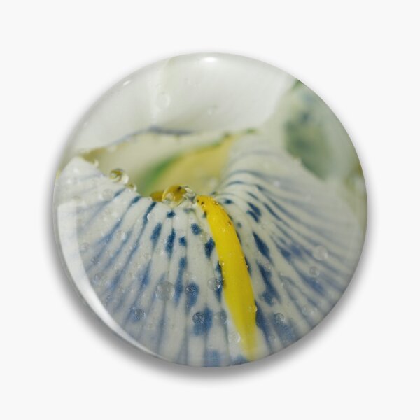 Item preview, Iris  'Polar Ice'  Reticulata  designed and sold by Chris Burrows.