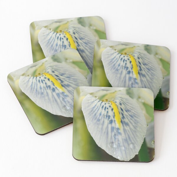 Item preview, Iris  'Polar Ice'  Reticulata  designed and sold by Chris Burrows.