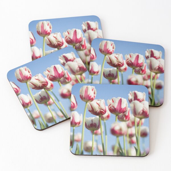Item preview, lovely red and white tulips designed and sold by nigejohn.