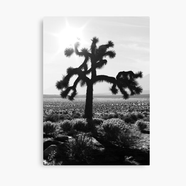 U2 Der Joshua Tree Leinwanddruck