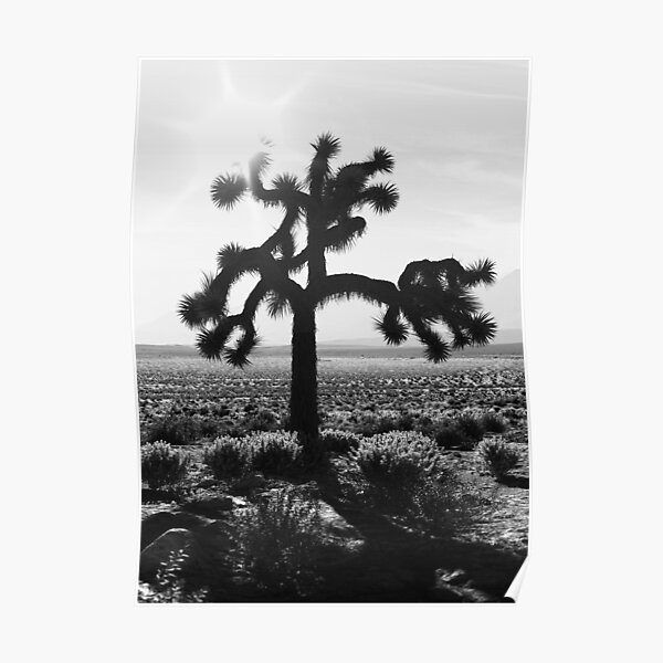 U2 The Joshua Tree Poster