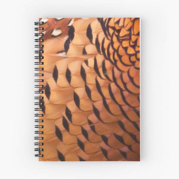 Item preview, Magnificent male pheasant feathers, plumage, rusty orange, black, close up. (From photograph of a live pheasant). designed and sold by JellyBeenzz.