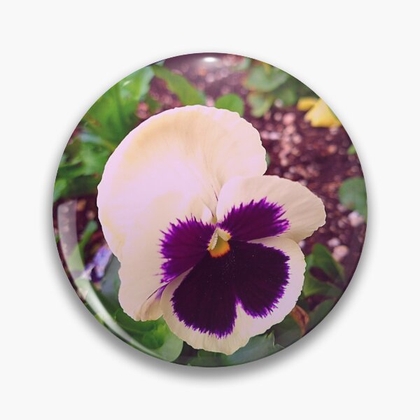 Item preview, Pansy Flowers Blooms in Dark soil and in a Flower Pot designed and sold by Mothe3rd.