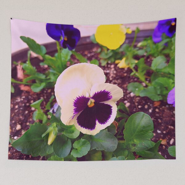 Item preview, Pansy Flowers Blooms in Dark soil and in a Flower Pot designed and sold by Mothe3rd.