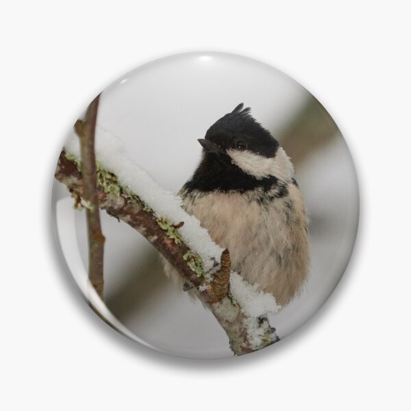 Item preview, The small one. Coal tit designed and sold by Jouko Lehto Photography.