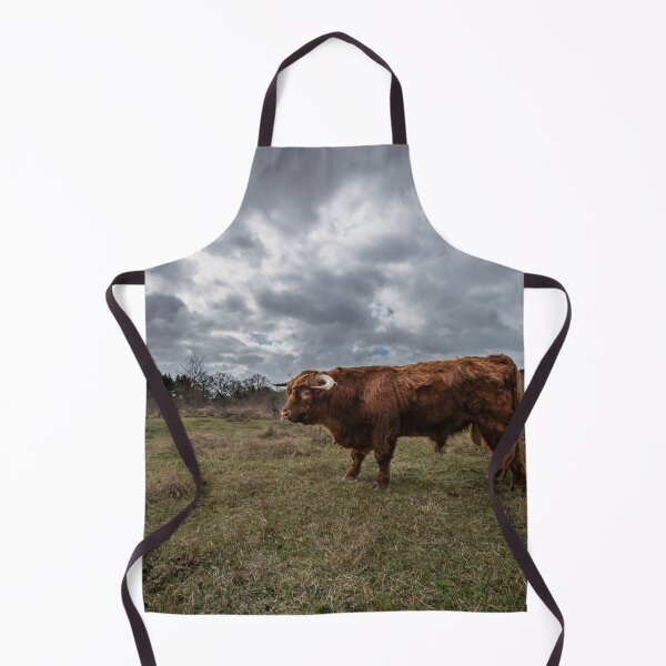 Item preview, Scottish highlander bull designed and sold by JDfotografie.