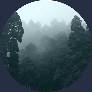Artwork thumbnail, Lost In The Forest by PureGeometry