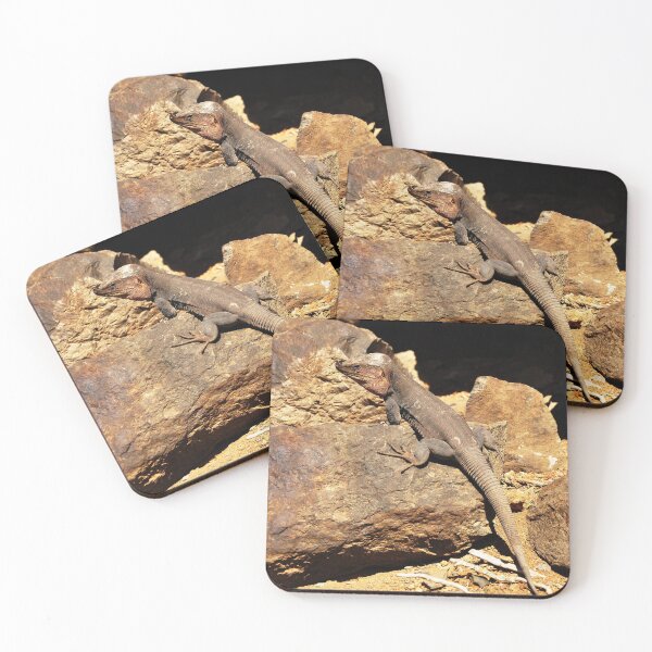 Item preview, Lizard warming up in the sun, animal planet designed and sold by GoodVibesOcean.