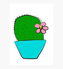 Lámina fotográfica cactus