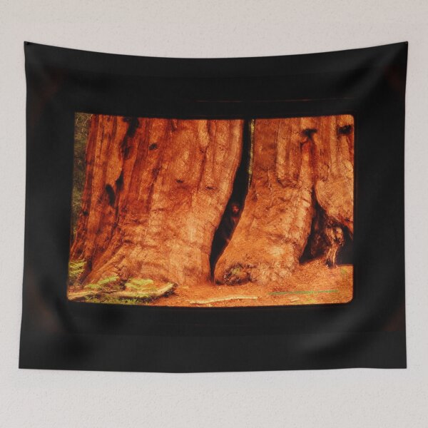 Item preview, A DRUID IN THE SEQUOIAS Steve Yellowbear Fine Art Photography C2021 designed and sold by SteveYellowbear.
