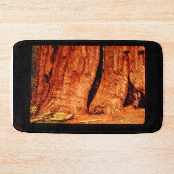 Item preview, A DRUID IN THE SEQUOIAS Steve Yellowbear Fine Art Photography C2021 designed and sold by SteveYellowbear.