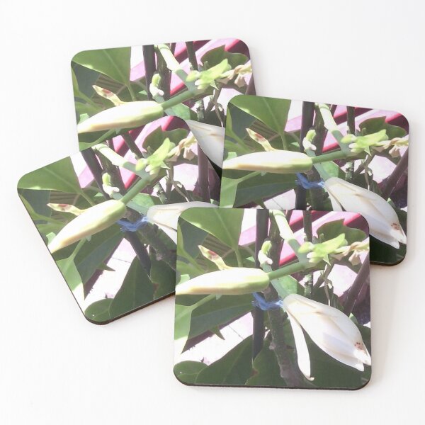 Item preview, Beauty Michell-alba  designed and sold by Lan thi Nguyen.