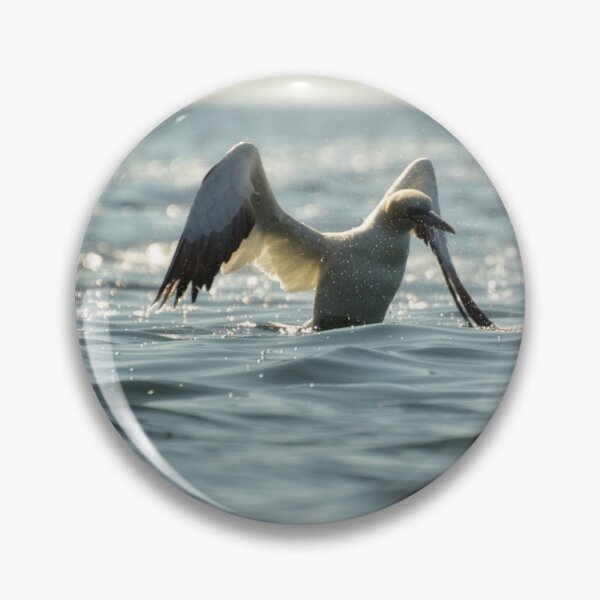 Item preview, Gannet designed and sold by photobypj.