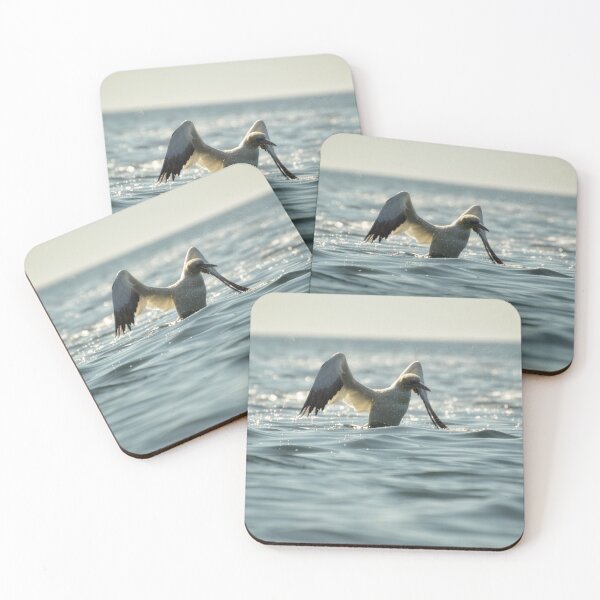 Item preview, Gannet designed and sold by photobypj.