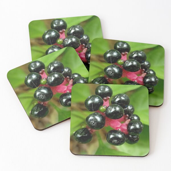 Item preview, Black berries designed and sold by vibeno1.