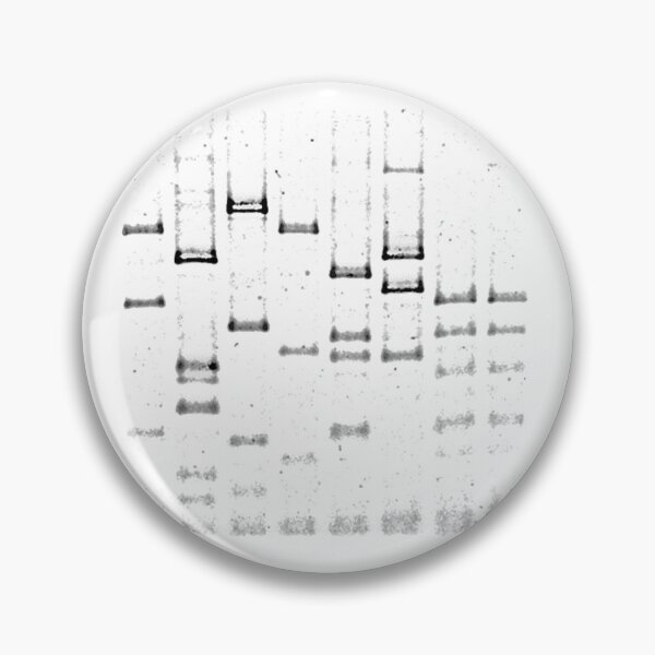 Item preview, Realistic agarose gel electrophoresis designed and sold by LaFla24.