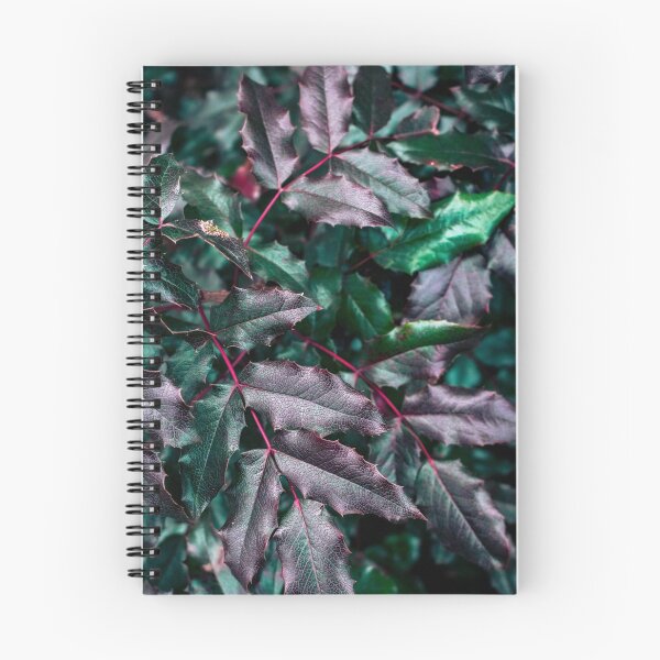 Item preview, Barberry plant designed and sold by printernet.