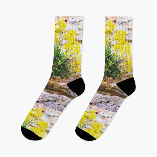 Item preview, A bush with small yellow flowers growing on an ancient wall of the Old Fortress designed and sold by helenkaiy.